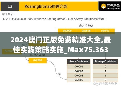2024澳门正版免费精准大全,最佳实践策略实施_Max75.363-7