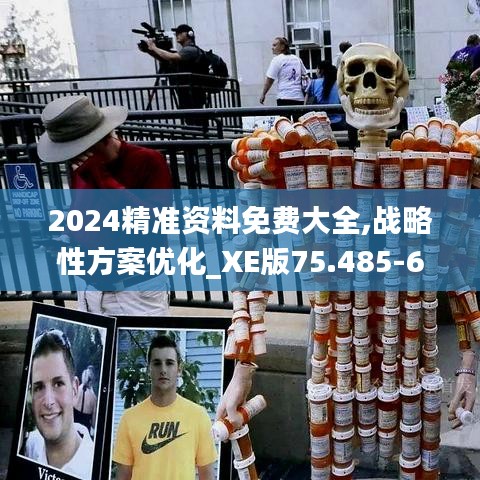 2024精准资料免费大全,战略性方案优化_XE版75.485-6