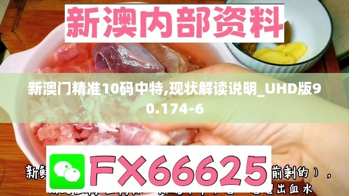 新澳门精准10码中特,现状解读说明_UHD版90.174-6