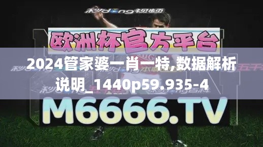 2024管家婆一肖一特,数据解析说明_1440p59.935-4