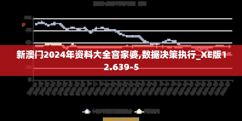 新澳门2024年资料大全宫家婆,数据决策执行_XE版12.639-5