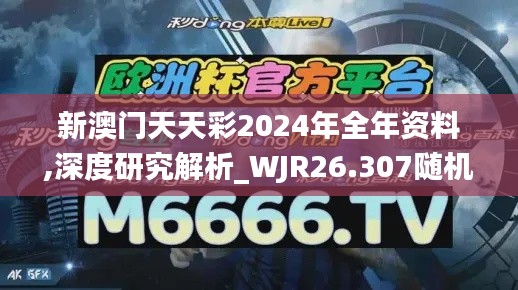 新澳门天天彩2024年全年资料,深度研究解析_WJR26.307随机版