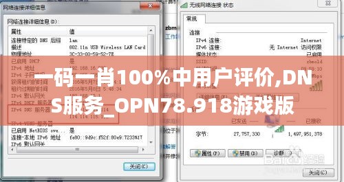 一码一肖100%中用户评价,DNS服务_OPN78.918游戏版