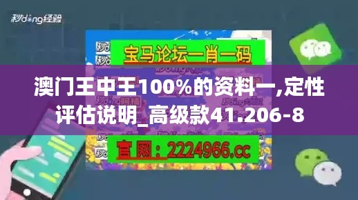 澳门王中王100%的资料一,定性评估说明_高级款41.206-8