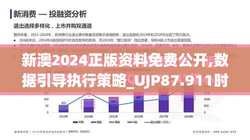 新澳2024正版资料免费公开,数据引导执行策略_UJP87.911时尚版