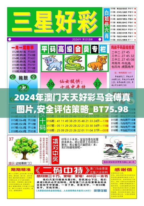 2024年澳门天天好彩马会傅真图片,安全评估策略_BT75.989-7