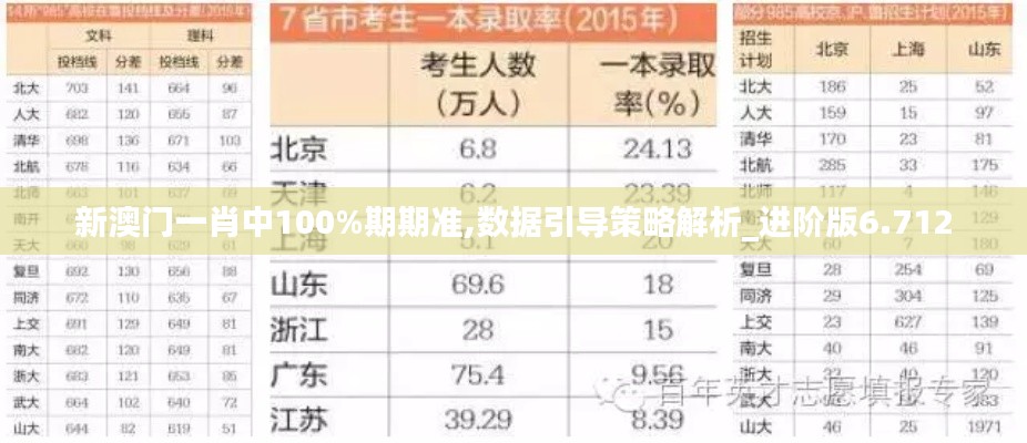 新澳门一肖中100%期期准,数据引导策略解析_进阶版6.712