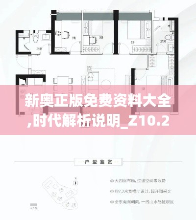 新奥正版免费资料大全,时代解析说明_Z10.213