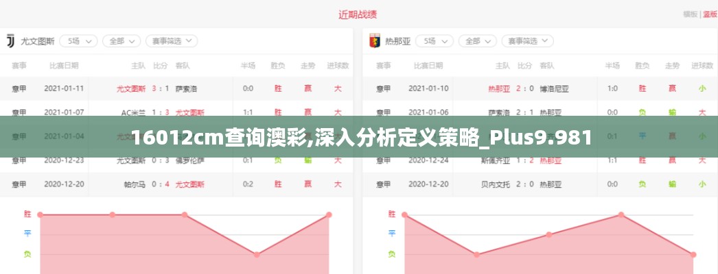 16012cm查询澳彩,深入分析定义策略_Plus9.981