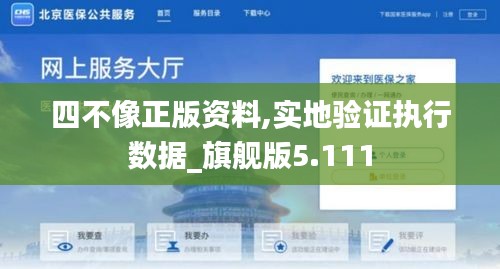 四不像正版资料,实地验证执行数据_旗舰版5.111