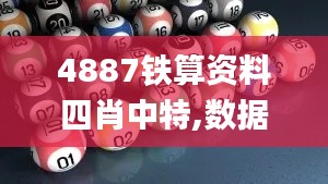 4887铁算资料四肖中特,数据整合实施_eShop5.656