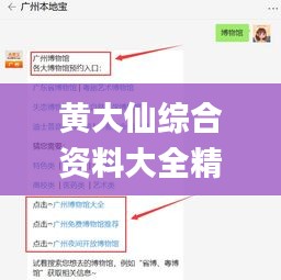 黄大仙综合资料大全精准大仙,精确分析解析说明_Phablet9.240