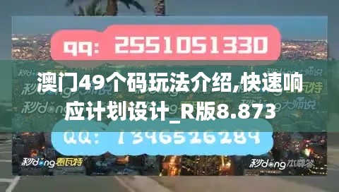 澳门49个码玩法介绍,快速响应计划设计_R版8.873