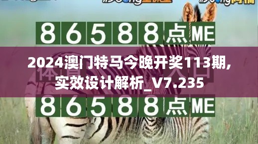 2024澳门特马今晚开奖113期,实效设计解析_V7.235