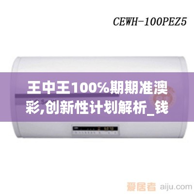 王中王100℅期期准澳彩,创新性计划解析_钱包版5.463