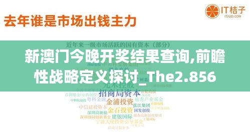 新澳门今晚开奖结果查询,前瞻性战略定义探讨_The2.856