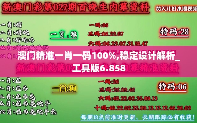 澳门精准一肖一码100%,稳定设计解析_工具版6.858