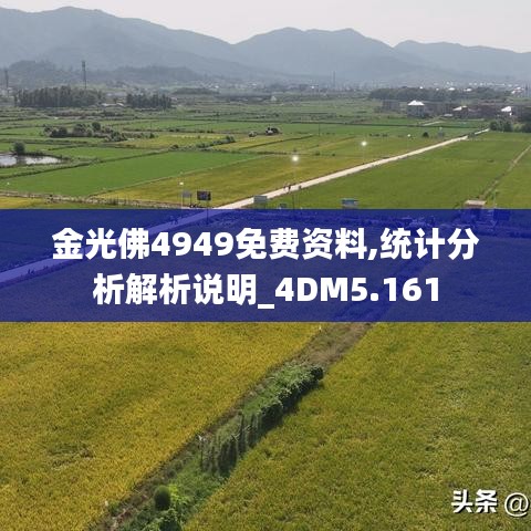 金光佛4949免费资料,统计分析解析说明_4DM5.161