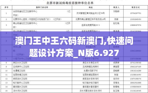 澳门王中王六码新澳门,快速问题设计方案_N版6.927