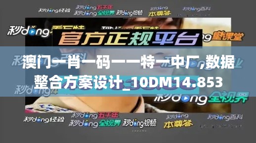 澳门一肖一码一一特一中厂,数据整合方案设计_10DM14.853