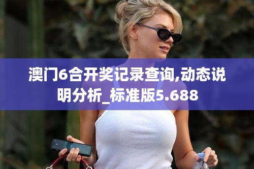 澳门6合开奖记录查询,动态说明分析_标准版5.688