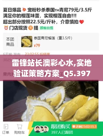 雷锋站长澳彩心水,实地验证策略方案_Q5.397