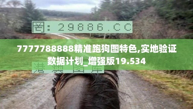 7777788888精准跑狗图特色,实地验证数据计划_增强版19.534