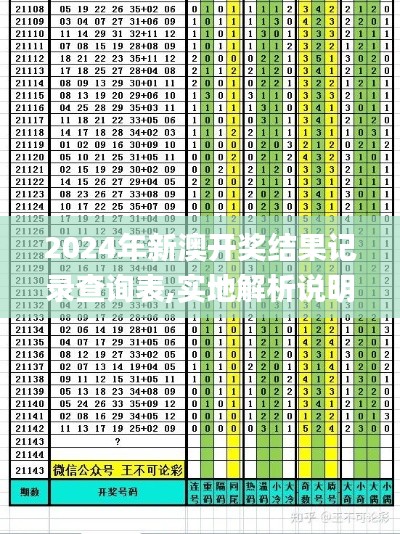 2024年新澳开奖结果记录查询表,实地解析说明_入门版1.919