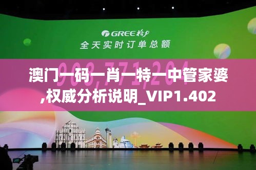 澳门一码一肖一特一中管家婆,权威分析说明_VIP1.402