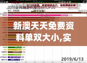 新澳天天免费资料单双大小,实地验证数据应用_L版9.230