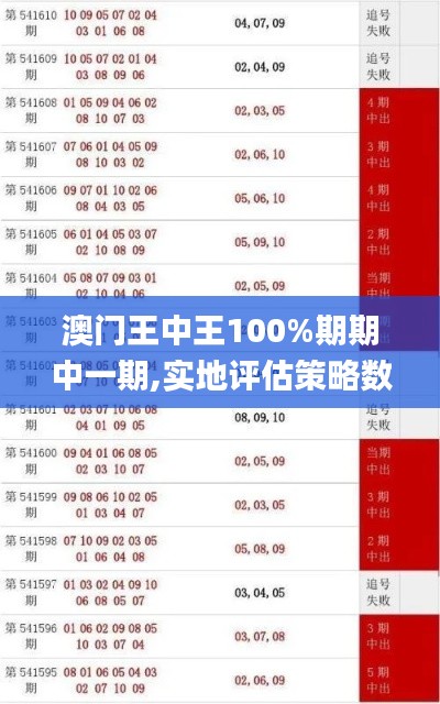 澳门王中王100%期期中一期,实地评估策略数据_AP10.948