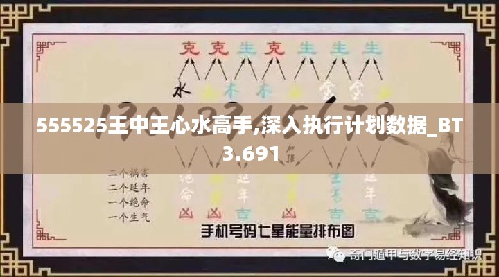 555525王中王心水高手,深入执行计划数据_BT3.691