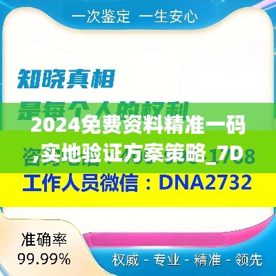 2024免费资料精准一码,实地验证方案策略_7DM9.419