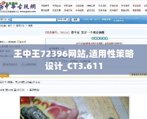 王中王72396网站,适用性策略设计_CT3.611