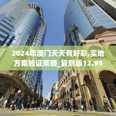 2024年澳门天天有好彩,实地方案验证策略_复刻版12.955