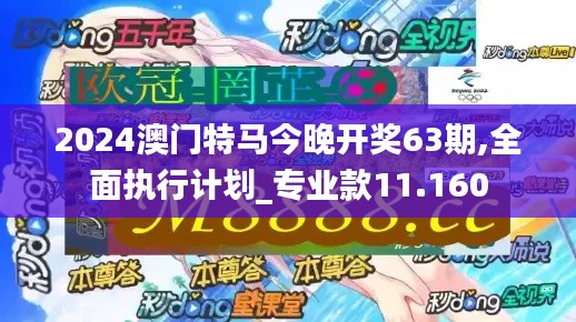 2024澳门特马今晚开奖63期,全面执行计划_专业款11.160