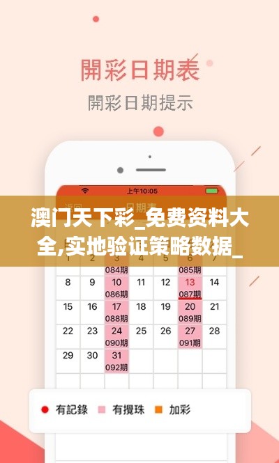 澳门天下彩_免费资料大全,实地验证策略数据_终极版4.482-9