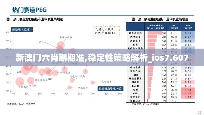 新澳门六肖期期准,稳定性策略解析_ios7.607
