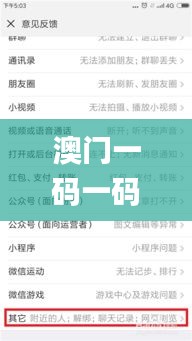 澳门一码一码100准确,客户反馈分析落实_挑战款16.289