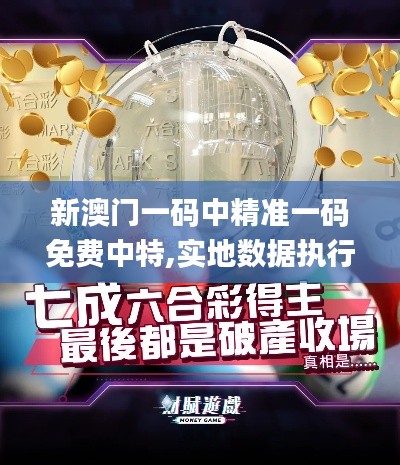 新澳门一码中精准一码免费中特,实地数据执行分析_OP3.278