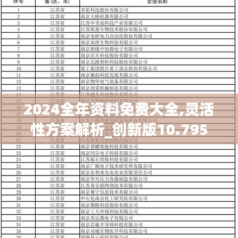 2024全年资料免费大全,灵活性方案解析_创新版10.795