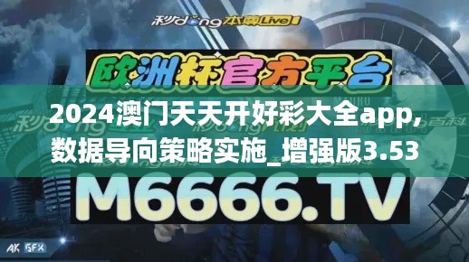 2024澳门天天开好彩大全app,数据导向策略实施_增强版3.536