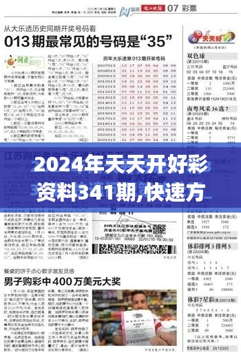 2024年天天开好彩资料341期,快速方案执行指南_Phablet19.314