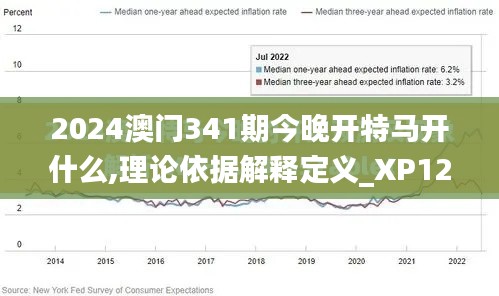 2024澳门341期今晚开特马开什么,理论依据解释定义_XP12.245