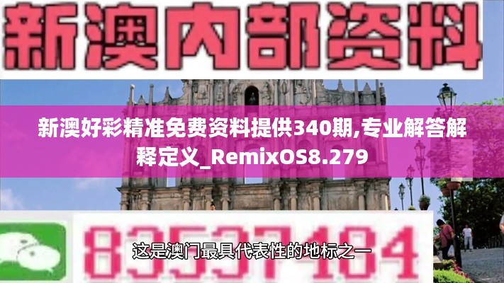 新澳好彩精准免费资料提供340期,专业解答解释定义_RemixOS8.279