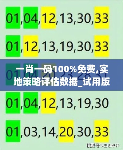 一肖一码100%免费,实地策略评估数据_试用版1.392