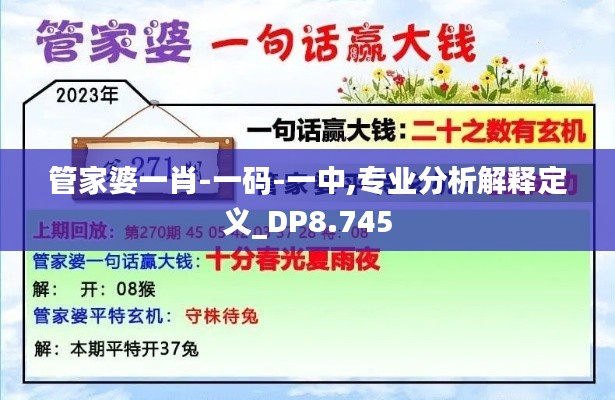 管家婆一肖-一码-一中,专业分析解释定义_DP8.745