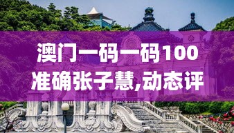澳门一码一码100准确张子慧,动态评估说明_复刻版110.443