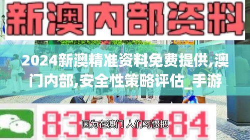2024新澳精准资料免费提供,澳门内部,安全性策略评估_手游版10.424