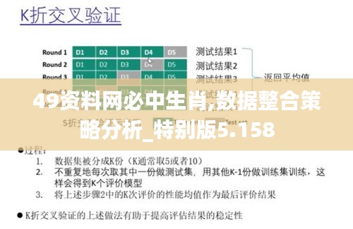 49资料网必中生肖,数据整合策略分析_特别版5.158